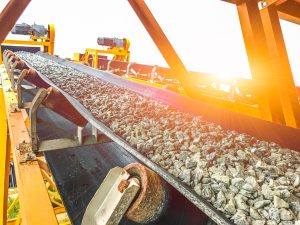 Conveyor belt in a plant