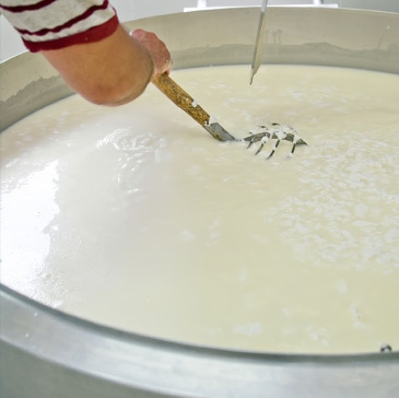 CHEESE MATERIAL FLOW AID CASE STUDY CHEESE MATERIAL FLOW AID CASE STUDY